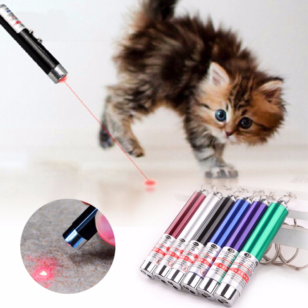 laser pens and cats