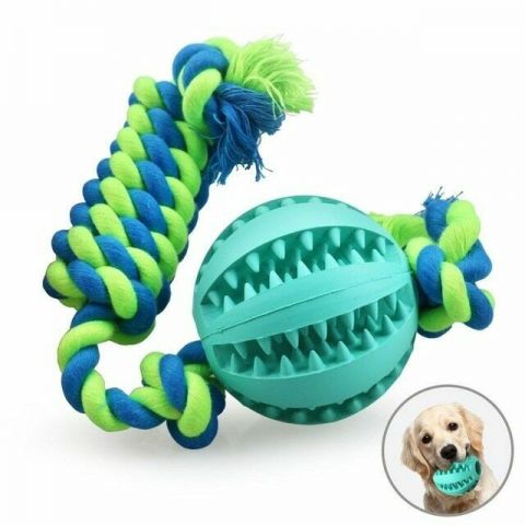 Dog Molars Toys With Rope-Blue